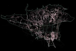 TEHRAN FILTERING GARDEN FESTIVAL